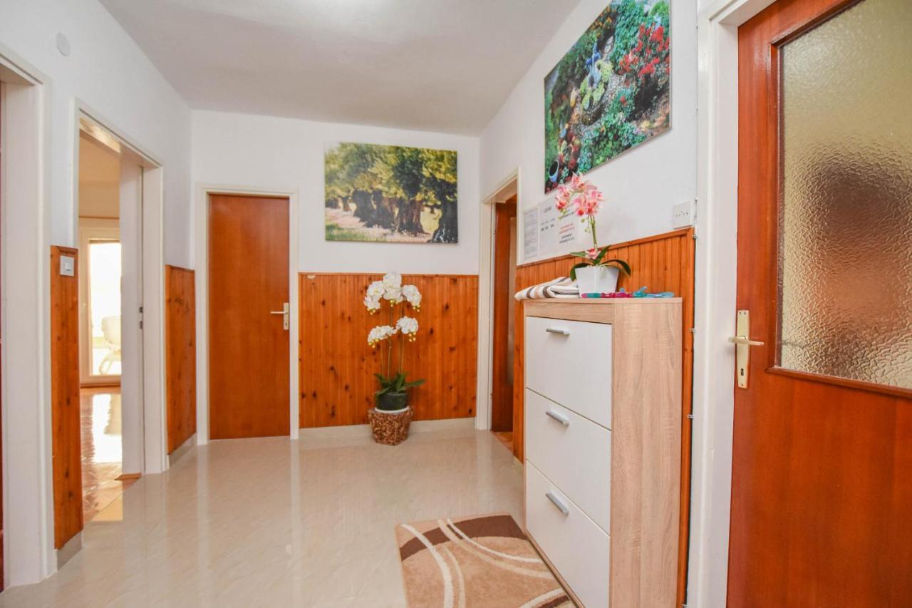 Apartments Dandelion Биоград-на-Мору Экстерьер фото