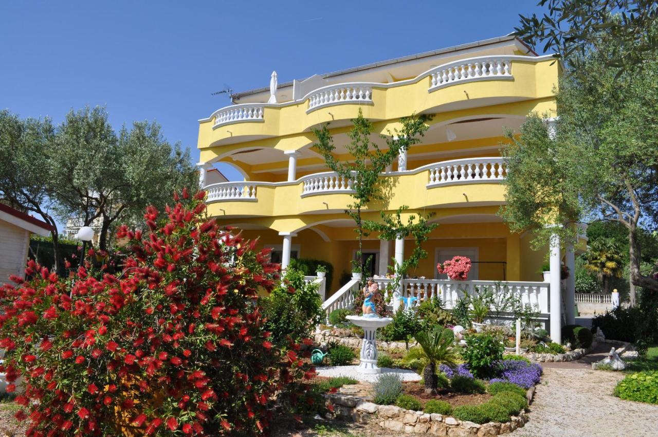 Apartments Dandelion Биоград-на-Мору Экстерьер фото