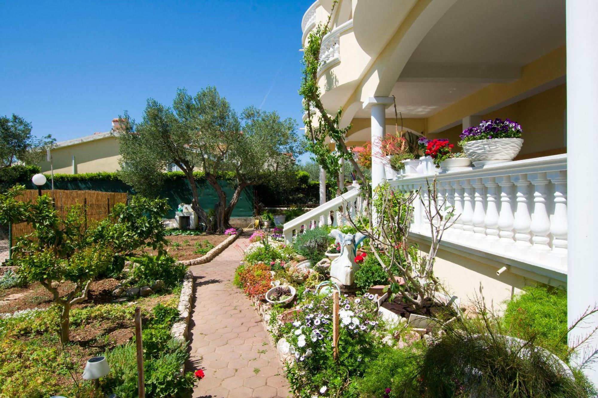 Apartments Dandelion Биоград-на-Мору Экстерьер фото